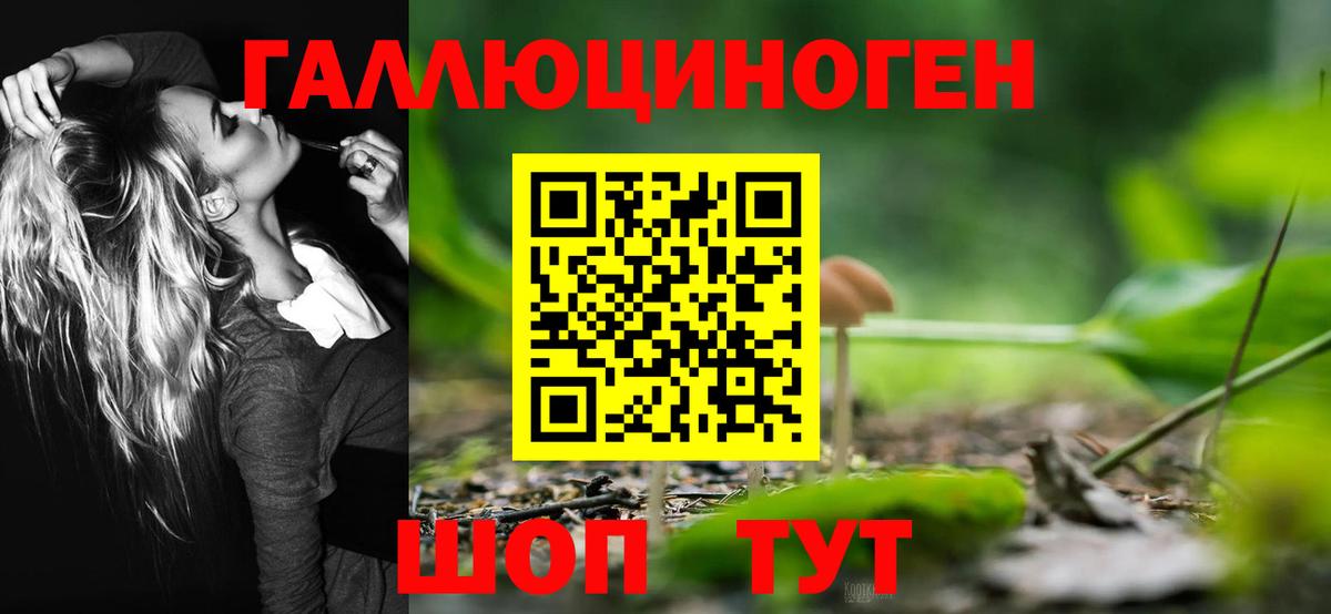 Когалым  Псилоцибиновые грибы мухоморы  Вход с VPN 